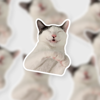 Kkomul's Limited Edition Gift Set